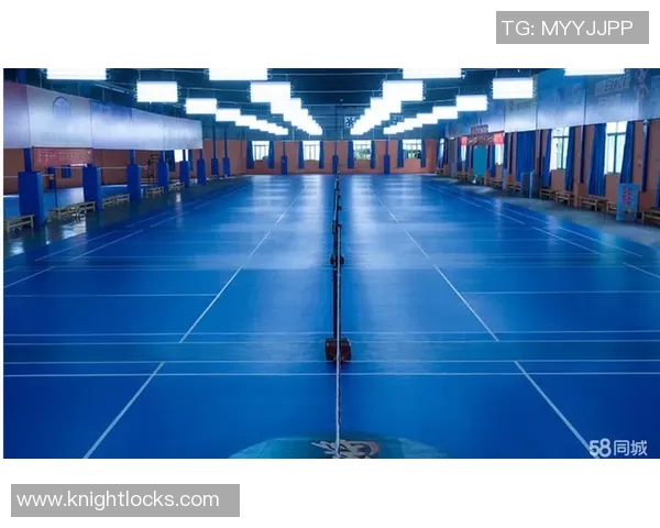 上海羽毛球队运营模式解析与热点关注的深度探讨