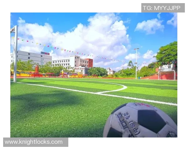 从零起步掌握飞盘技巧与团队协作的全面指南