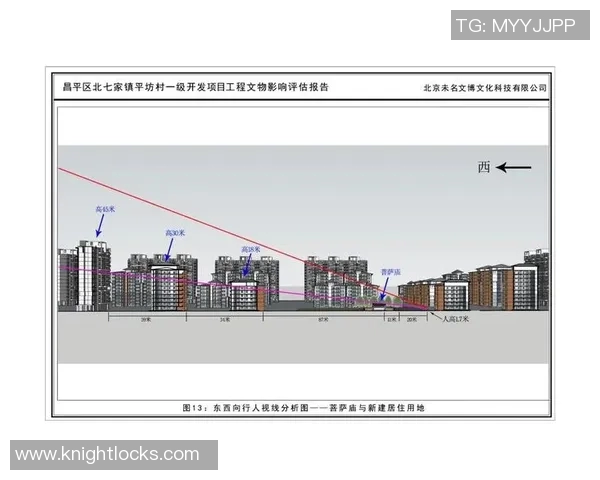 杭州飞盘队近期状态分析与表现评估探讨