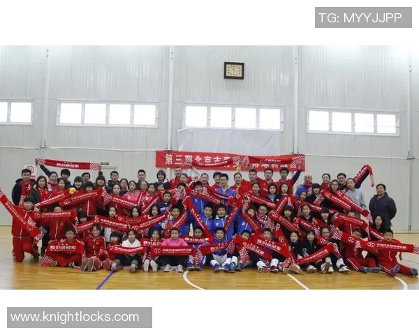 南京排球队团队协作深度解析与其他球队的对比研究