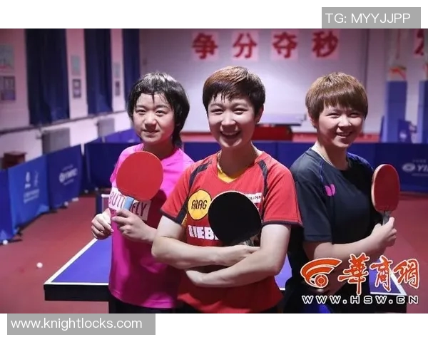 西安乒乓球队实力分析与表现评估的全面数据研究